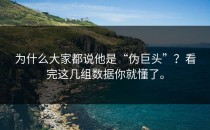 为什么大家都说他是“伪巨头”？看完这几组数据你就懂了。
